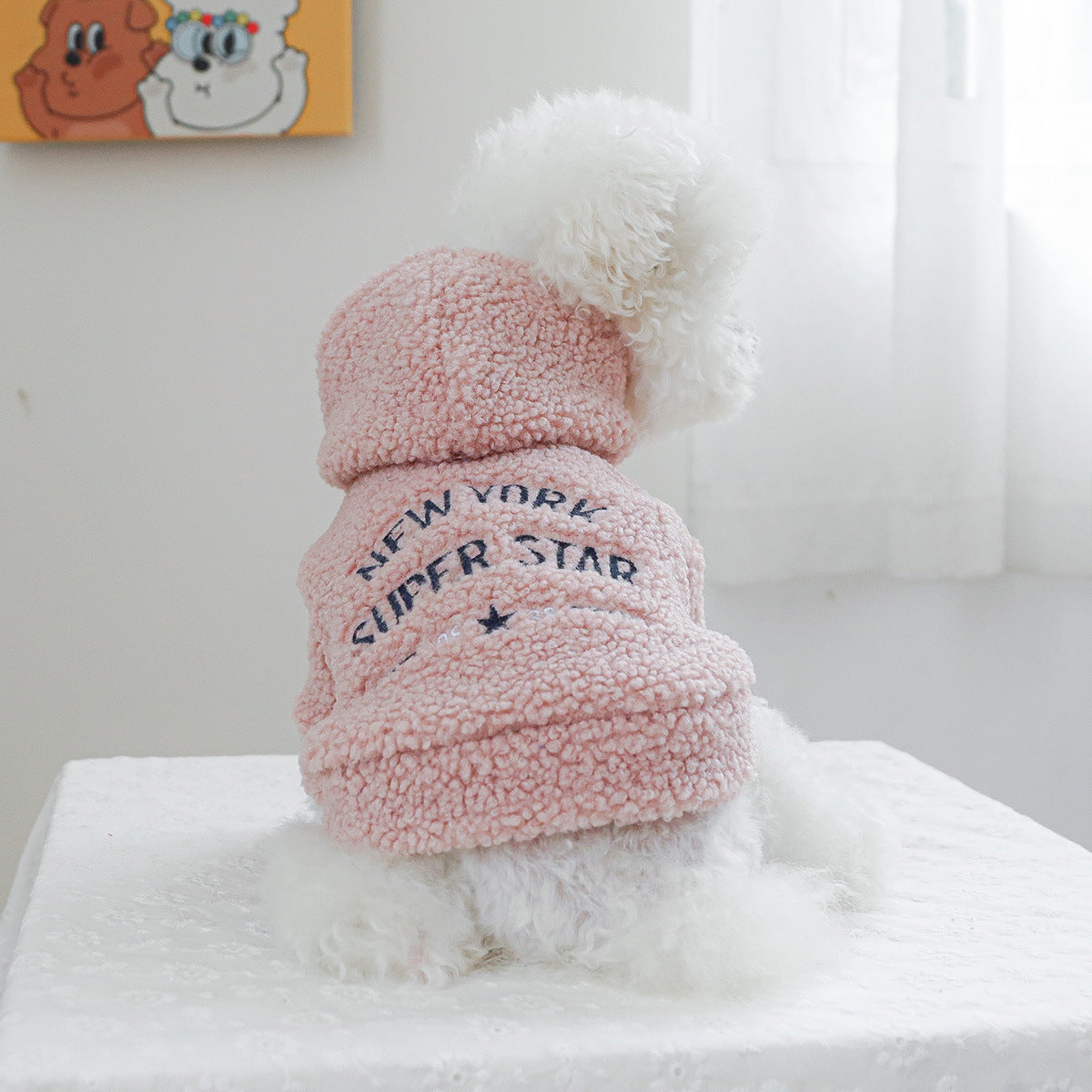 Pet Clothes For Dogs And Cats